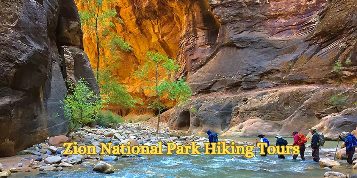 Zion National Park Hiking Tours