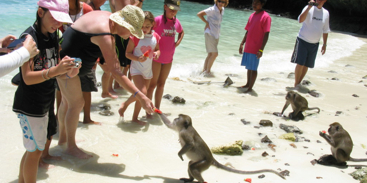 Phi Phi Island and Monkey Beach Tour