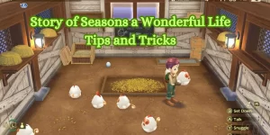 Story of Seasons a Wonderful Life Tips and Tricks