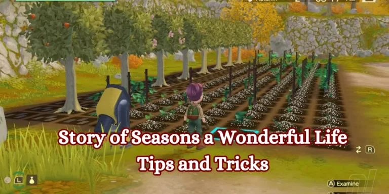 Story of Seasons a Wonderful Life Tips and Tricks