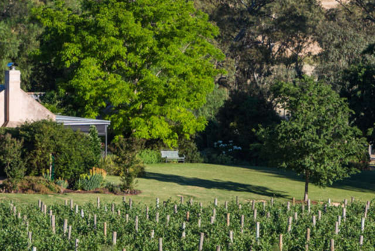 best places to stay barossa valley