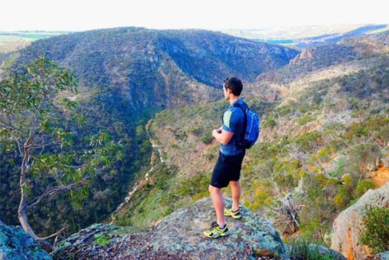 Trail Guide â€” Hiking Near Sydney: Routes, Distance & Tips