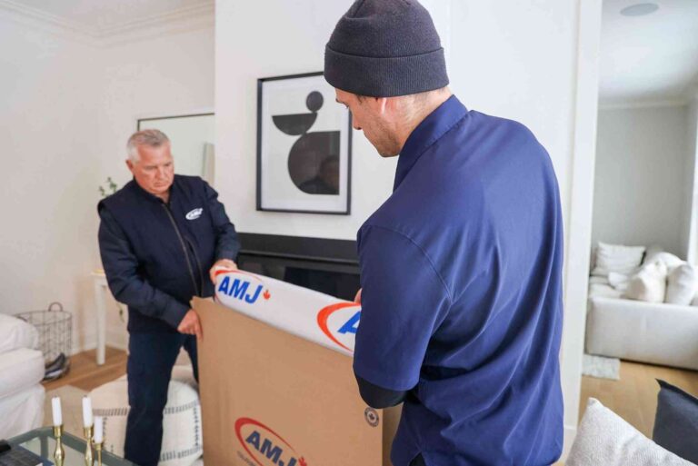 Your Reliable Transportation Company for Furniture Delivery Needs